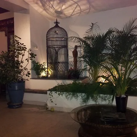 Le Petit Siam : Le Calme En Centre *
